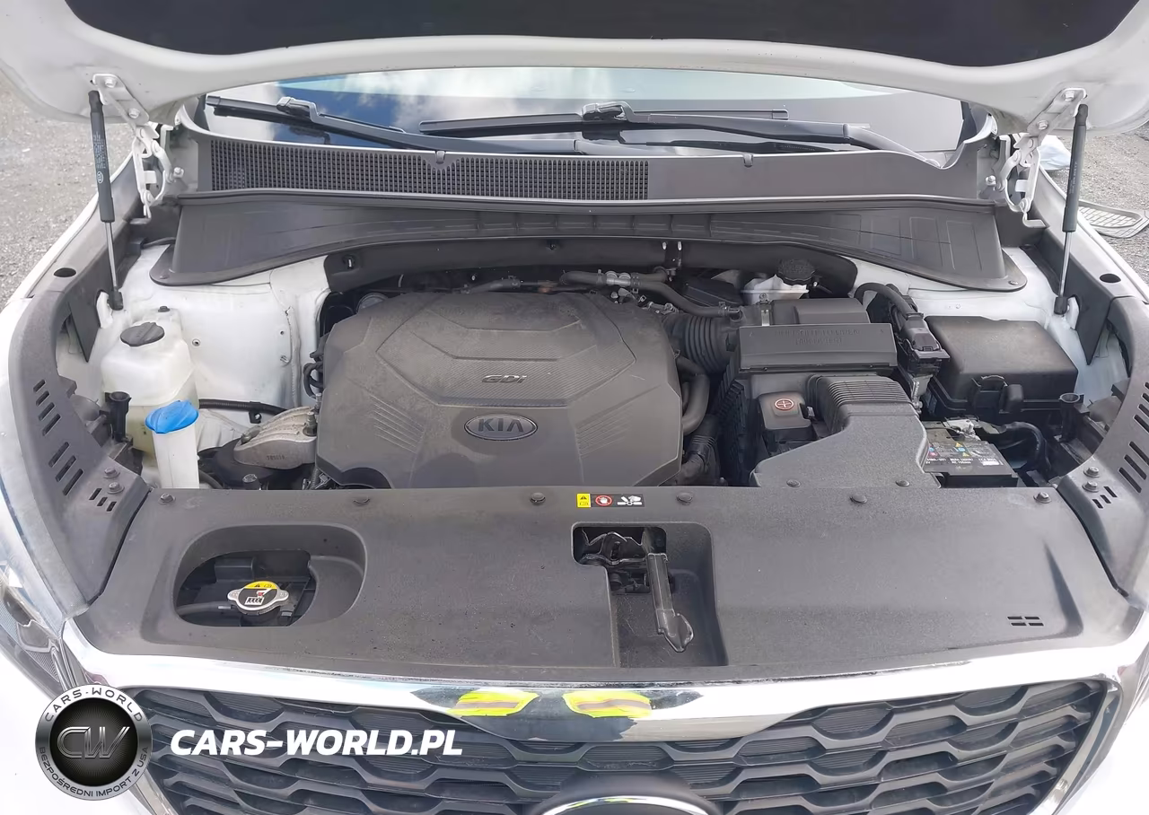 2019 Kia Sorento 3.3L Lx VIN:5XYPGDA53KG567165 - 10