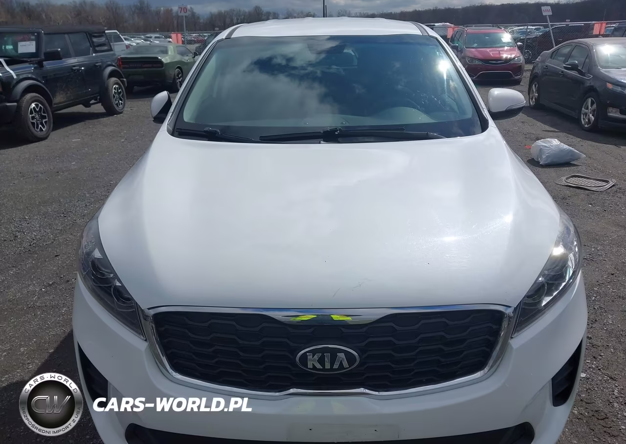 2019 Kia Sorento 3.3L Lx VIN:5XYPGDA53KG567165 - 12