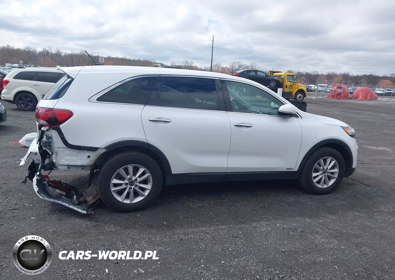 2019 Kia Sorento 3.3L Lx VIN:5XYPGDA53KG567165 - 13