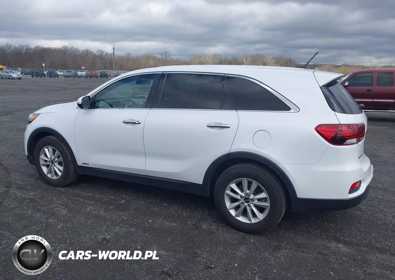 2019 Kia Sorento 3.3L Lx VIN:5XYPGDA53KG567165 - 14