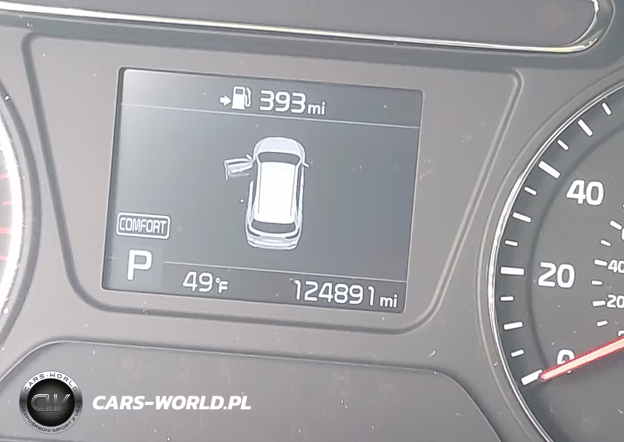 2019 Kia Sorento 3.3L Lx VIN:5XYPGDA53KG567165 - 15