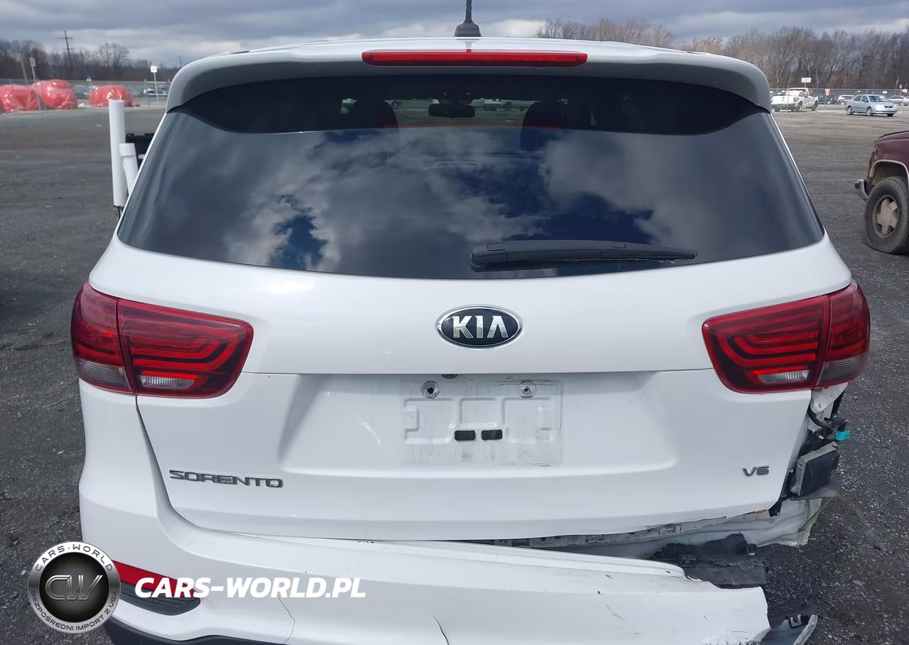 2019 Kia Sorento 3.3L Lx VIN:5XYPGDA53KG567165 - 16