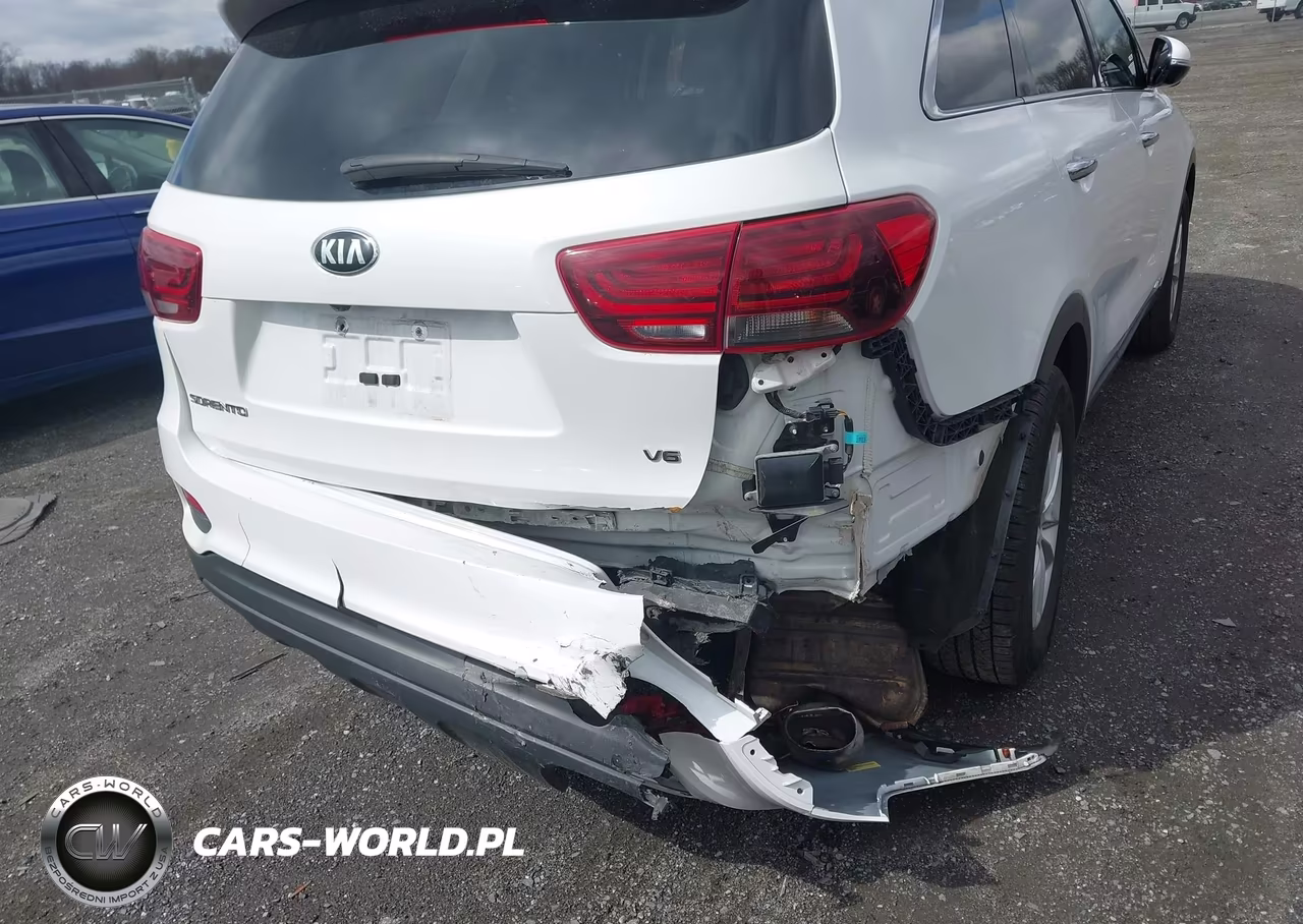 2019 Kia Sorento 3.3L Lx VIN:5XYPGDA53KG567165 - 6