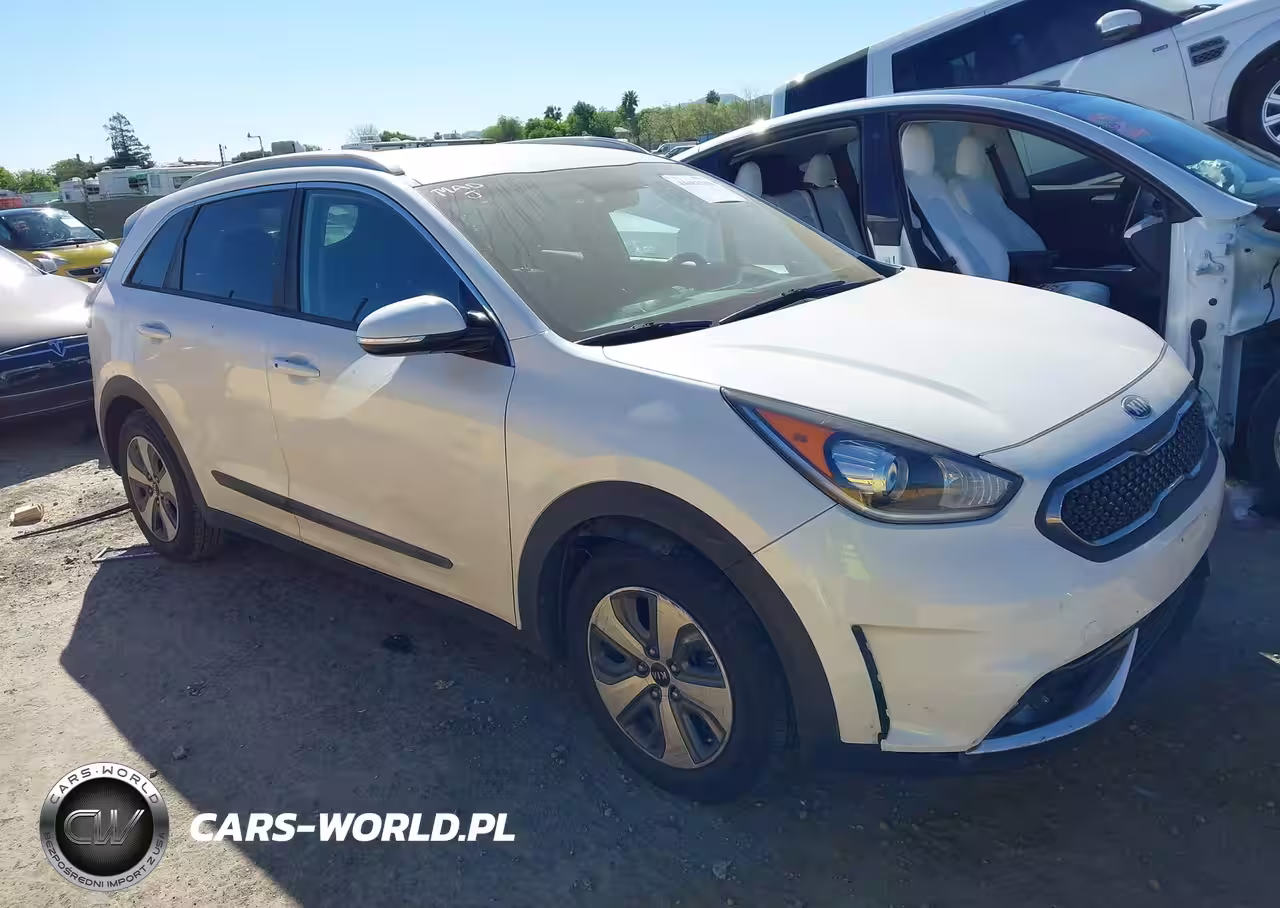 2019 Kia Niro Ex