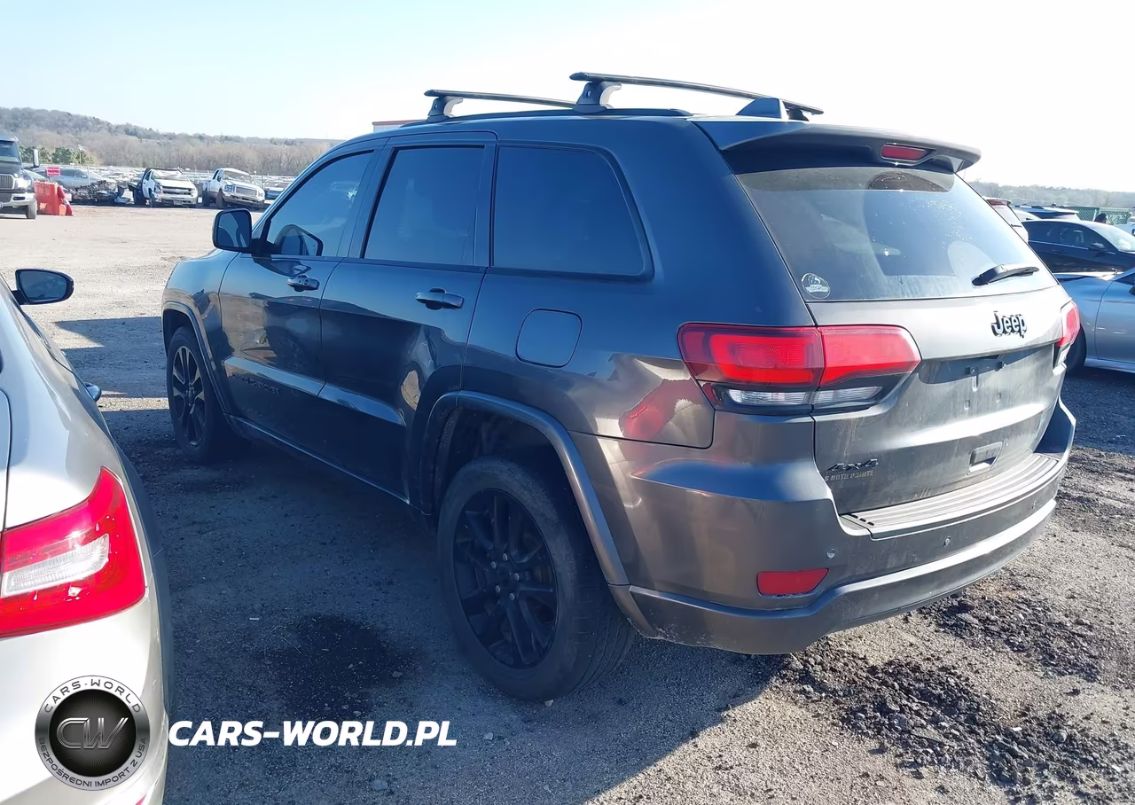 2019 Jeep Grand Cherokee Altitude 4X4 VIN:1C4RJFAG4KC659865 - 3