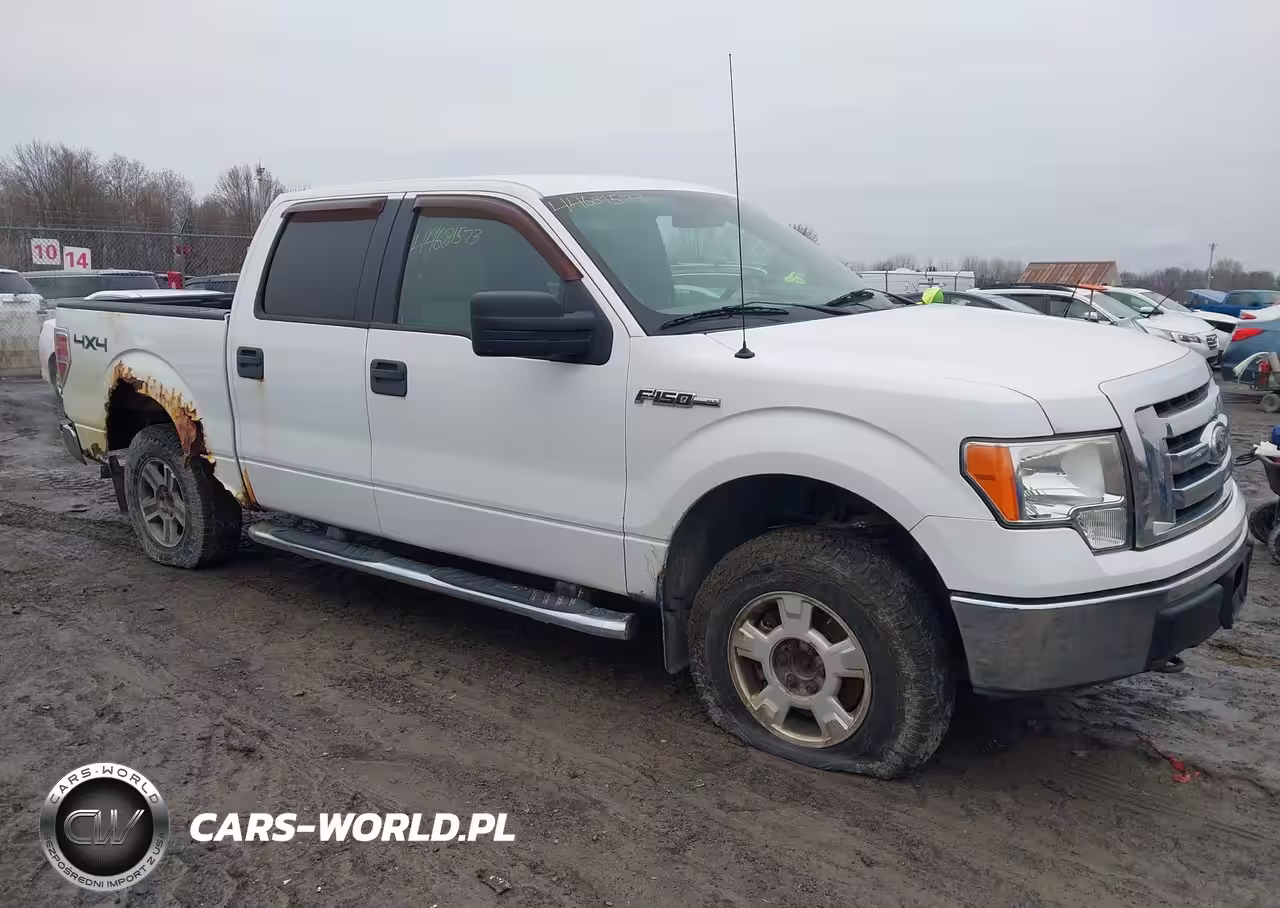 2010 Ford F-150 Xl-Xlt