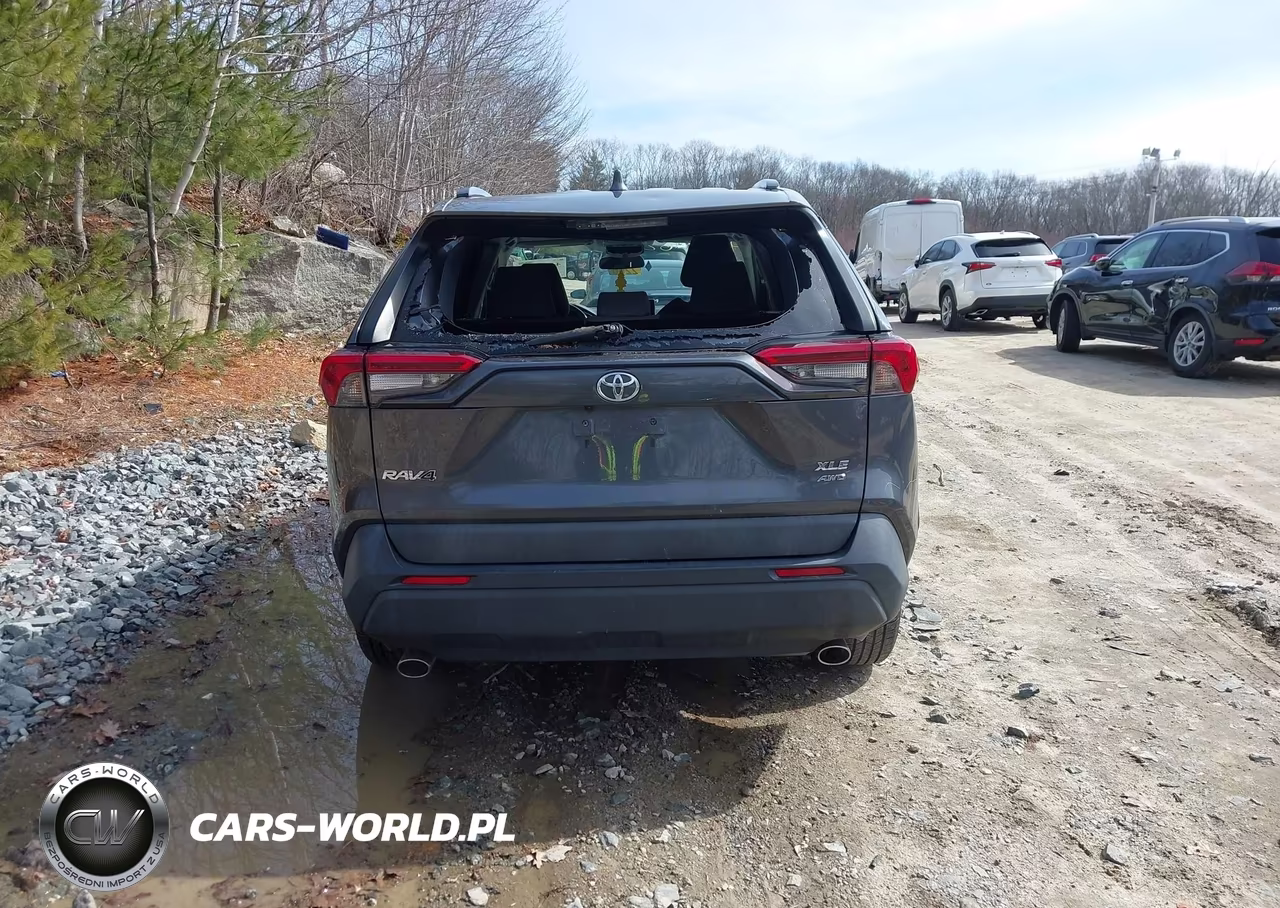2019 Toyota Rav4 Xle VIN:2T3P1RFV1KC009499 - 16