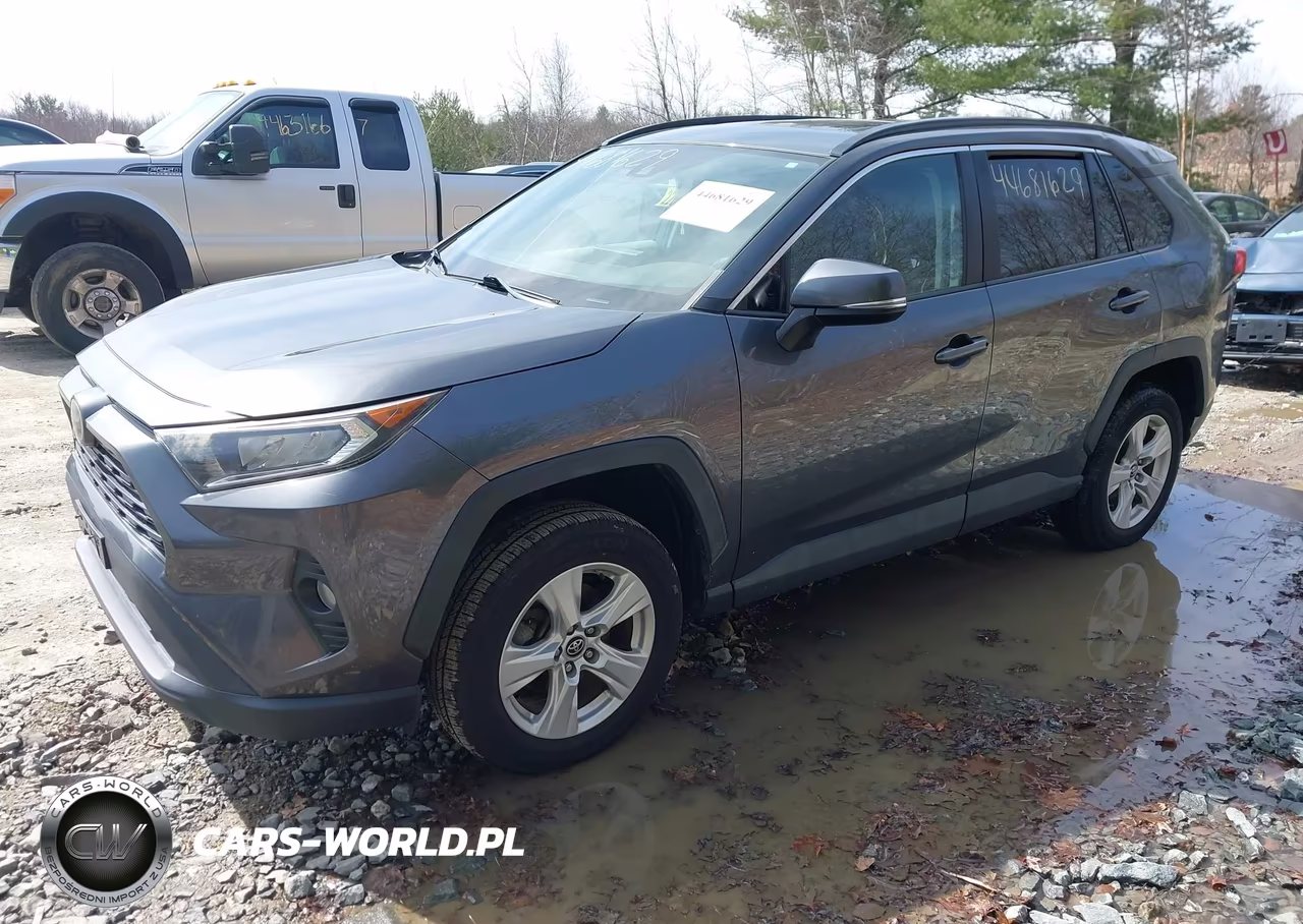 2019 Toyota Rav4 Xle VIN:2T3P1RFV1KC009499 - 2