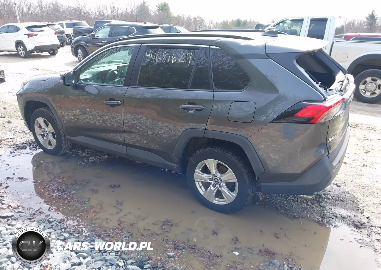 2019 Toyota Rav4 Xle VIN:2T3P1RFV1KC009499 - 3