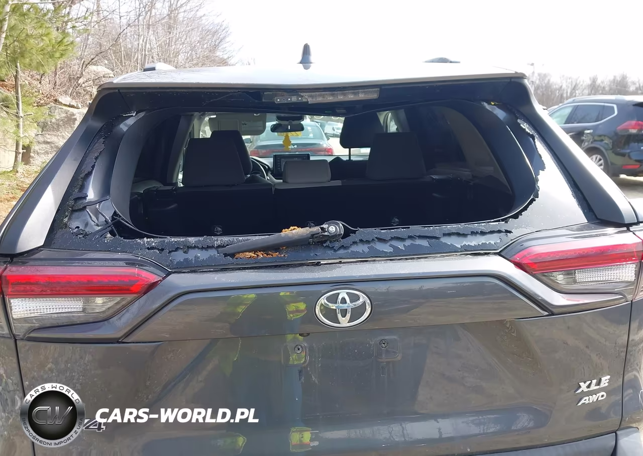 2019 Toyota Rav4 Xle VIN:2T3P1RFV1KC009499 - 6