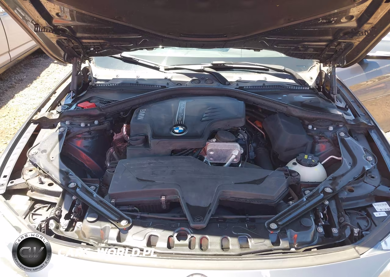 2016 BMW 428I VIN:WBA3V7C58G5A27877 - 10