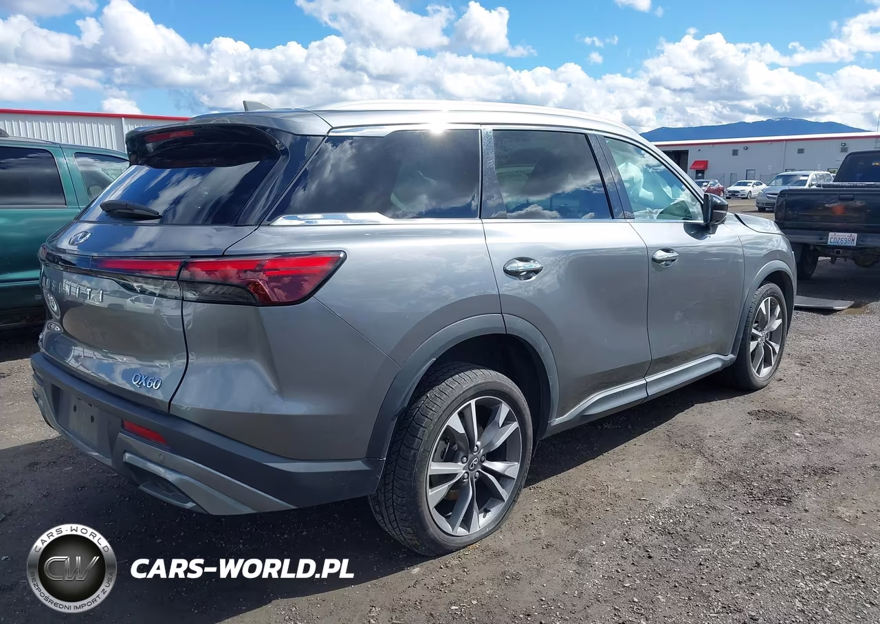2022 Infiniti Qx60 Luxe Awd VIN:5N1DL1FS9NC337386 - 4