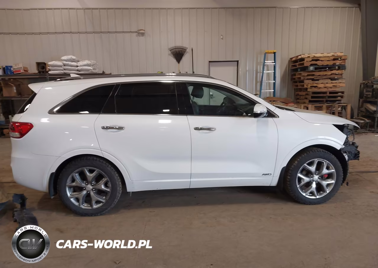 2018 Kia Sorento 3.3L Sx VIN:5XYPKDA53JG366797 - 14