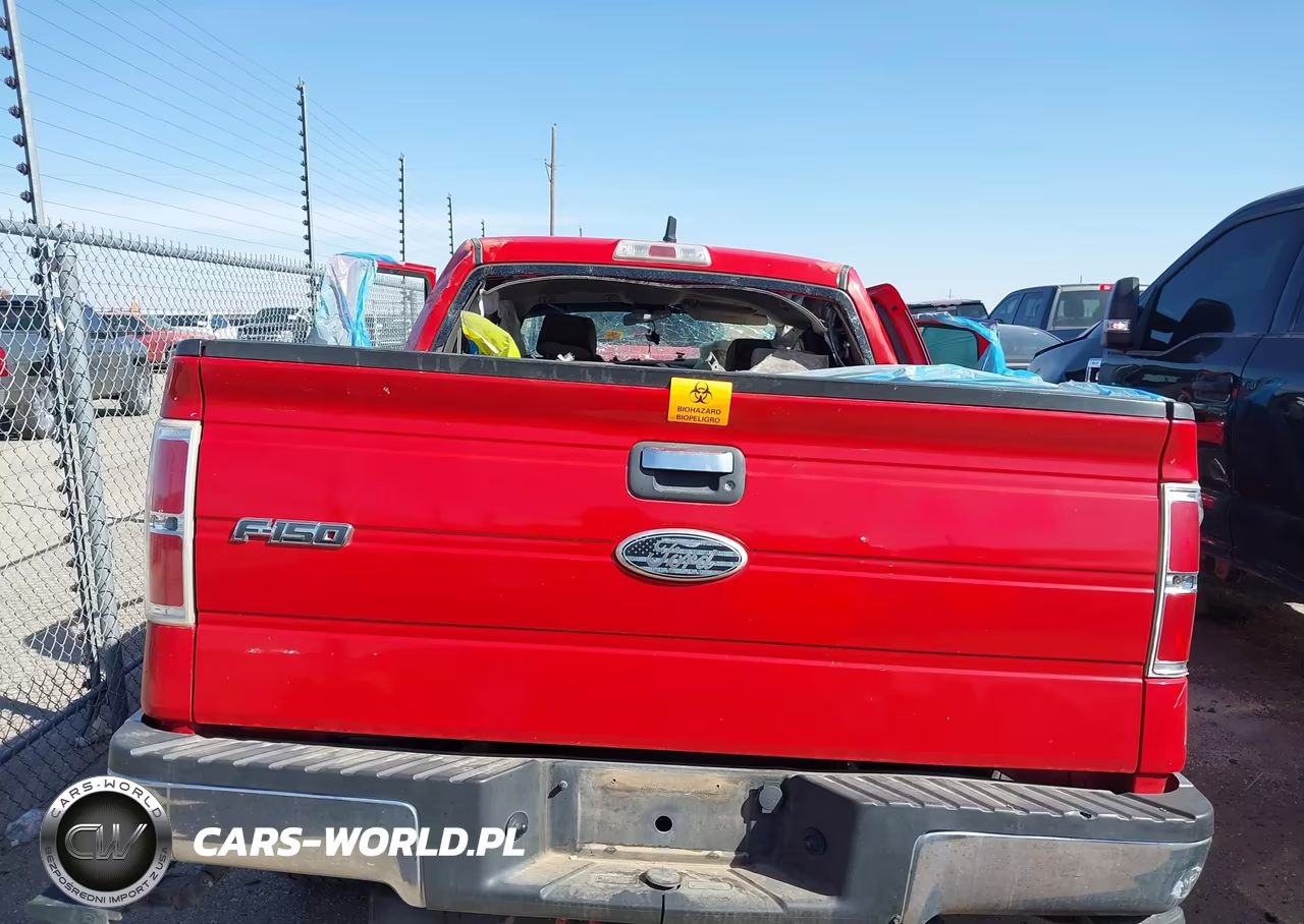 2009 Ford F-150 Xl-Xlt VIN:1FTRW12859FA80033 - 17
