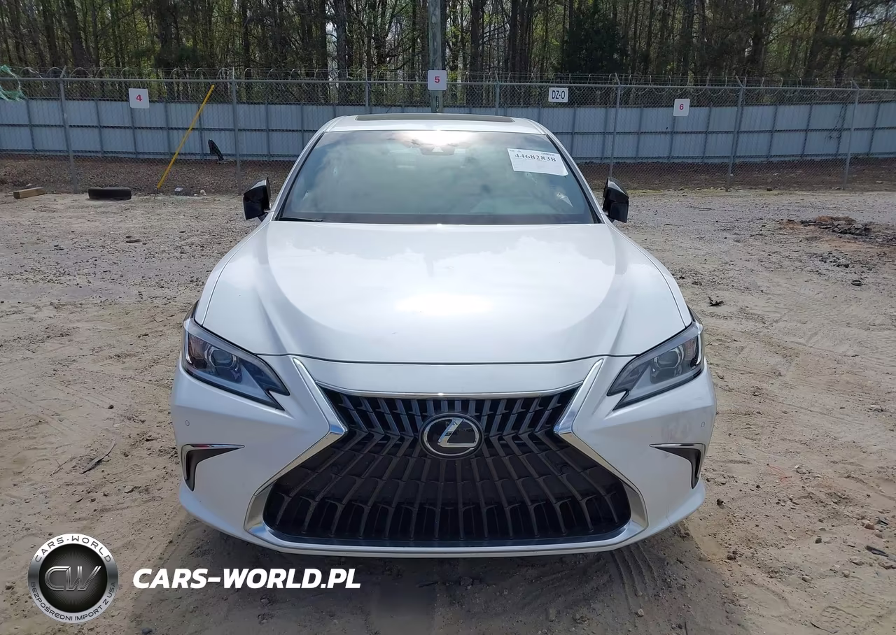 2023 Lexus Es 350 VIN:58ADZ1B10PU154623 - 13