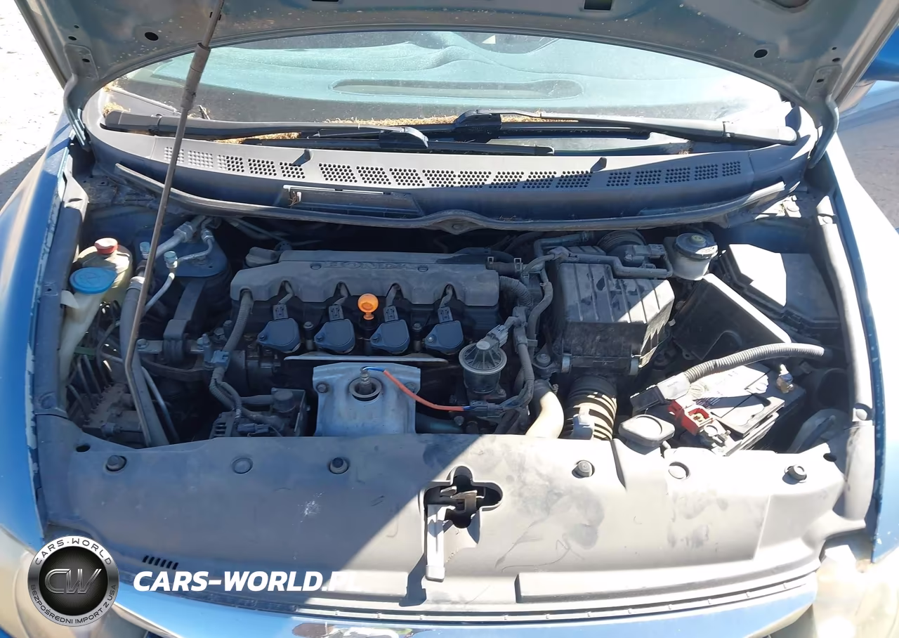 2010 Honda Civic Lx VIN:2HGFA1F52AH319916 - 10