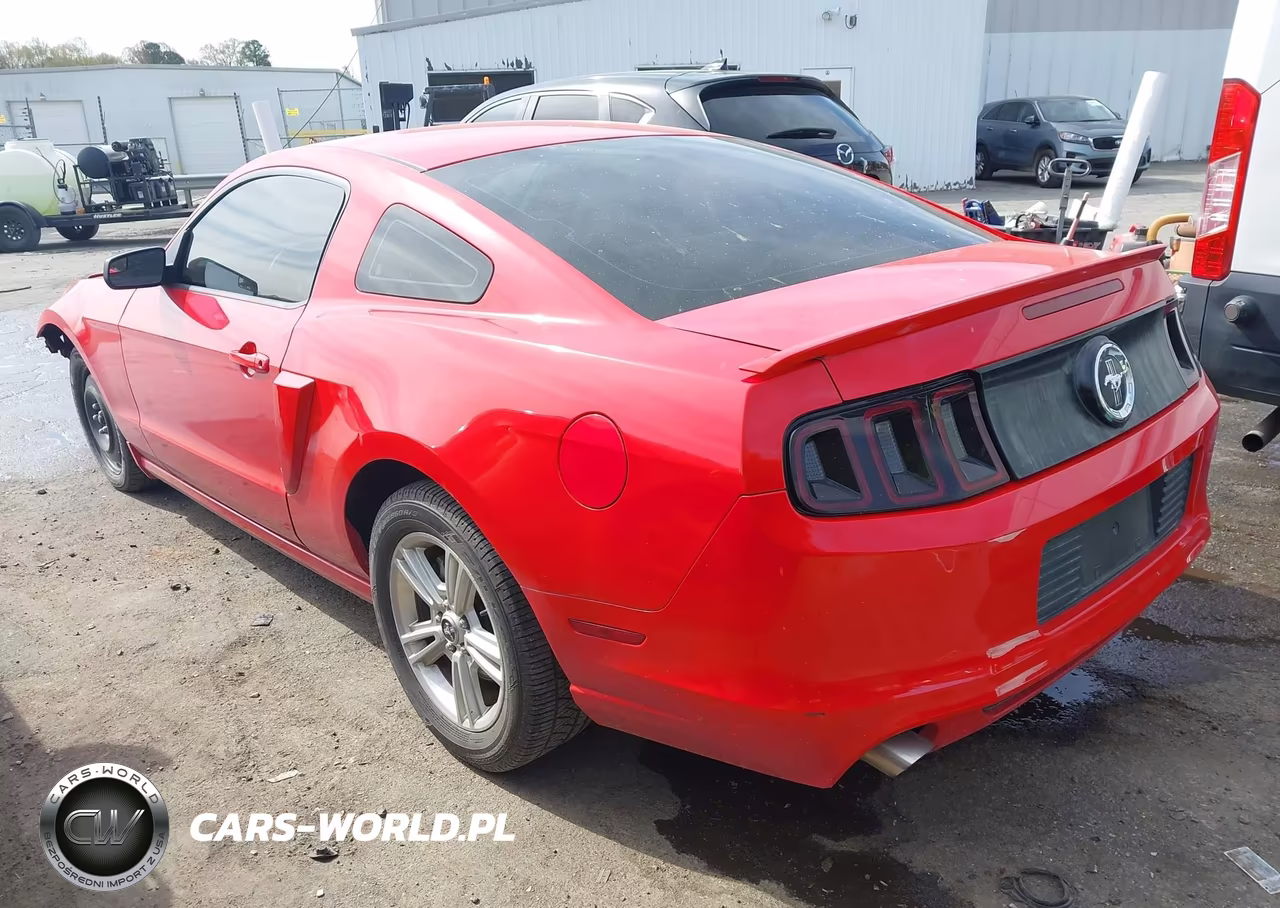 2013 Ford Mustang V6 VIN:1ZVBP8AM7D5262365 - 3