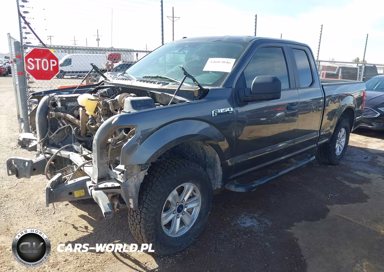2019 Ford F-150 Xl VIN:1FTEX1CB4KKC30474 - 2