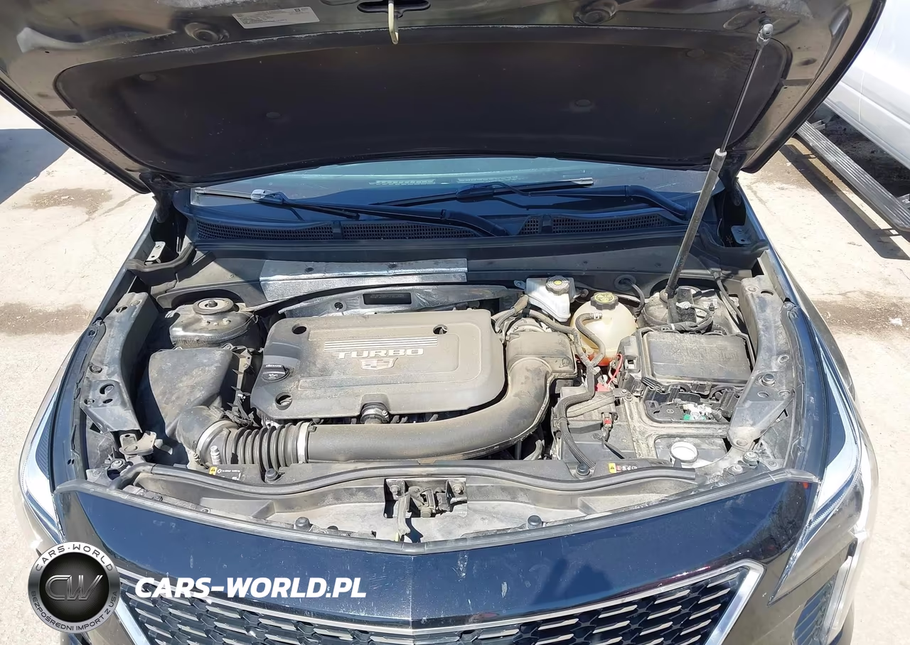 2020 Cadillac Xt4 Fwd Premium Luxury VIN:1GYFZCR44LF077702 - 10