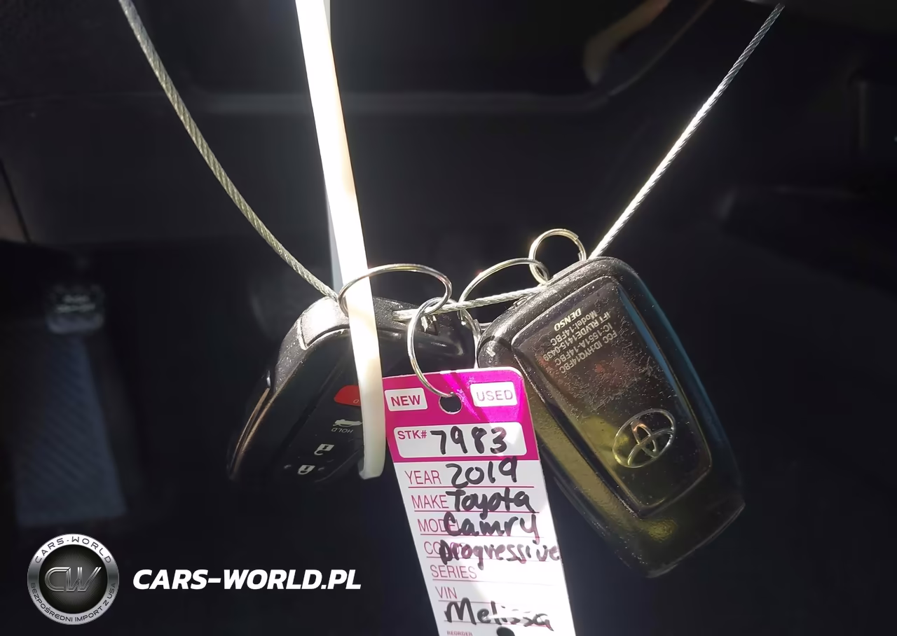 2019 Toyota Camry Se VIN:4T1B11HK5KU183274 - 11