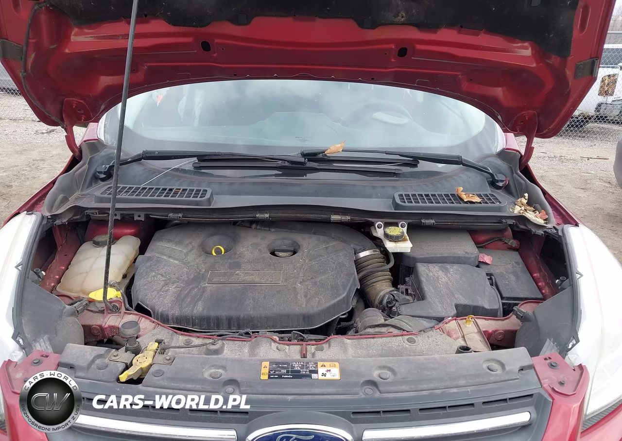 2015 Ford Escape Se VIN:1FMCU0G91FUB06024 - 10