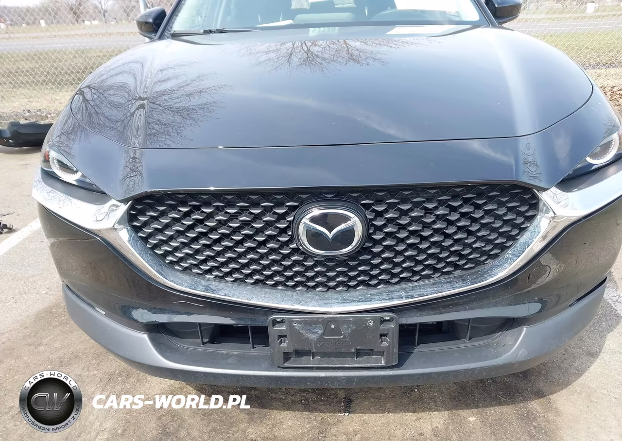 2021 Mazda Cx-30 2.5 S VIN:3MVDMAAL6MM272848 - 12
