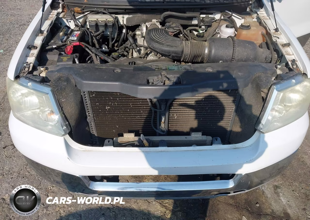 2004 Ford F-150 Stx-Xl-Xlt VIN:1FTRX12WX4NB13442 - 10