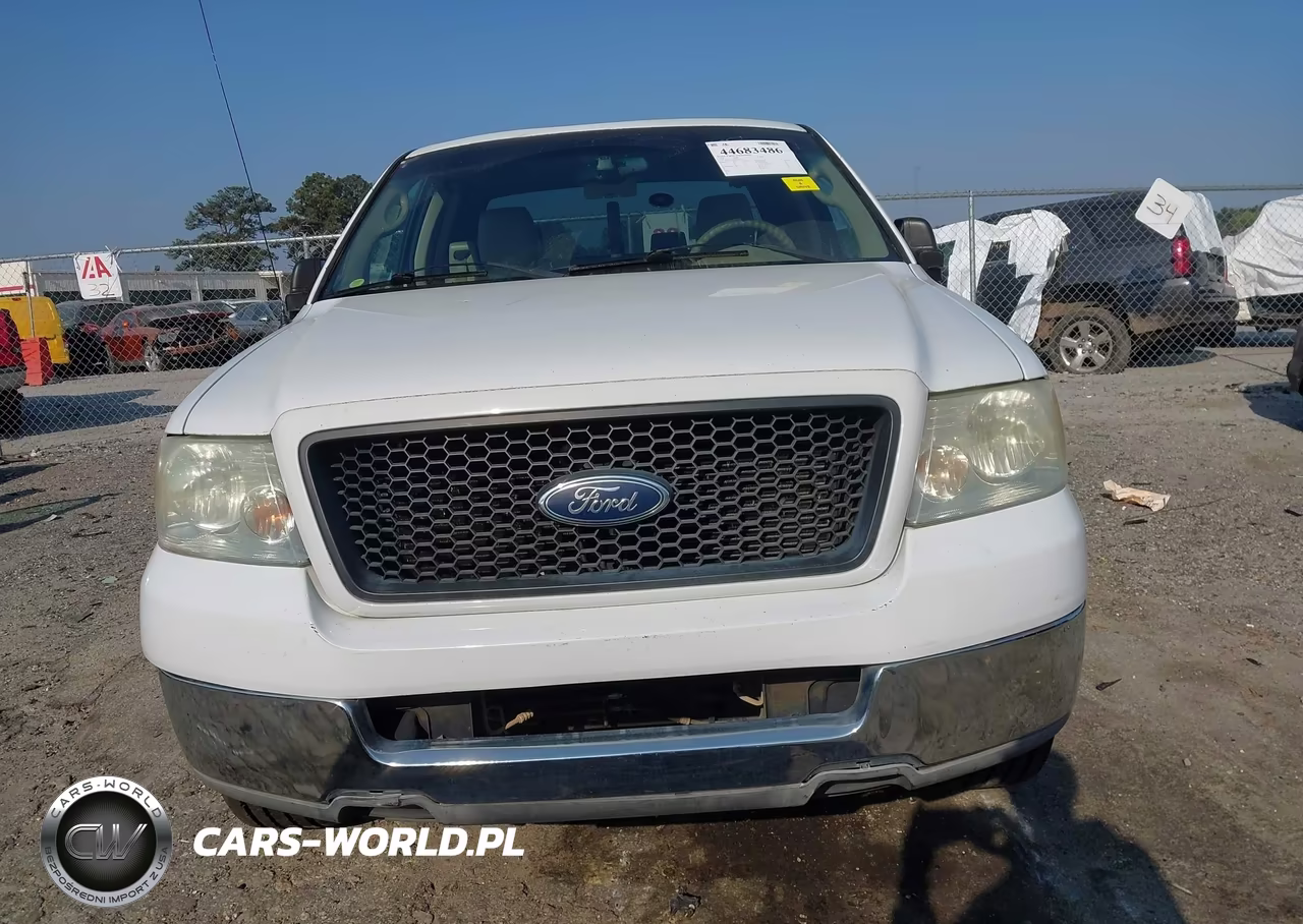 2004 Ford F-150 Stx-Xl-Xlt VIN:1FTRX12WX4NB13442 - 12