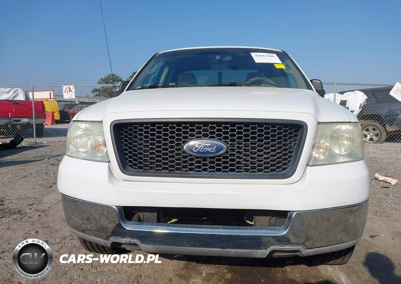 2004 Ford F-150 Stx-Xl-Xlt VIN:1FTRX12WX4NB13442 - 6