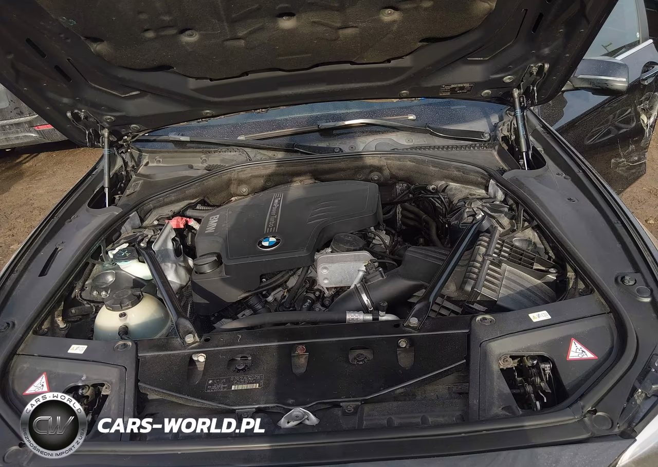 2014 BMW 528I xDrive VIN:WBA5A7C54ED612962 - 10
