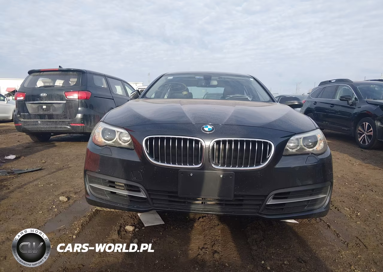 2014 BMW 528I xDrive VIN:WBA5A7C54ED612962 - 12