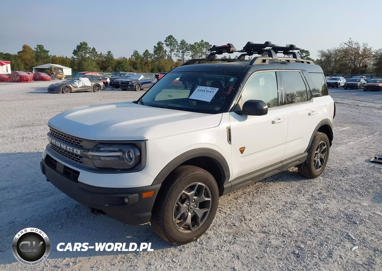 2021 Ford Bronco Sport Badlands VIN:3FMCR9D94MRA04604 - 2