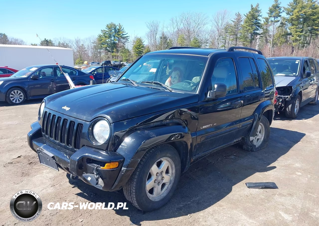 2002 Jeep Liberty Limited Edition VIN:1J4GL58K72W112149 - 13