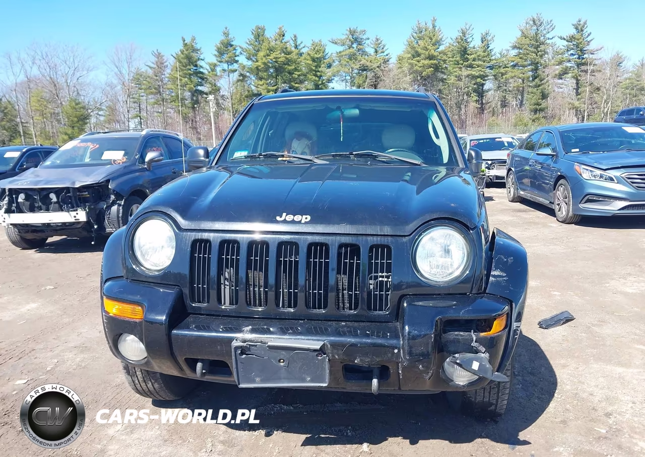 2002 Jeep Liberty Limited Edition VIN:1J4GL58K72W112149 - 14