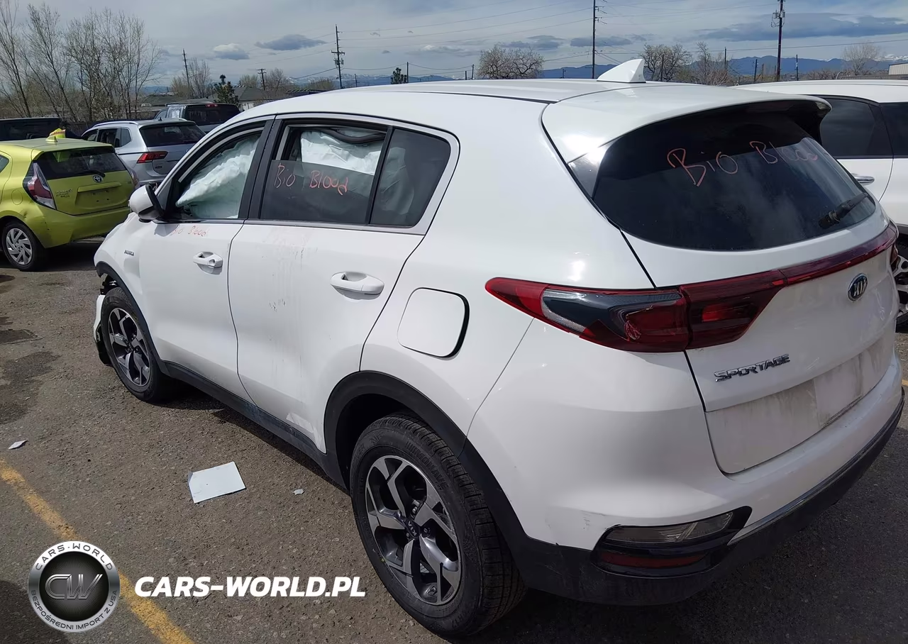 2020 Kia Sportage Lx VIN:KNDPMCAC5L7721598 - 3