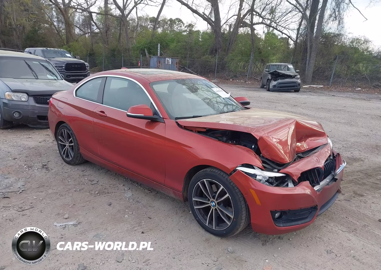 2019 BMW 230I xDrive
