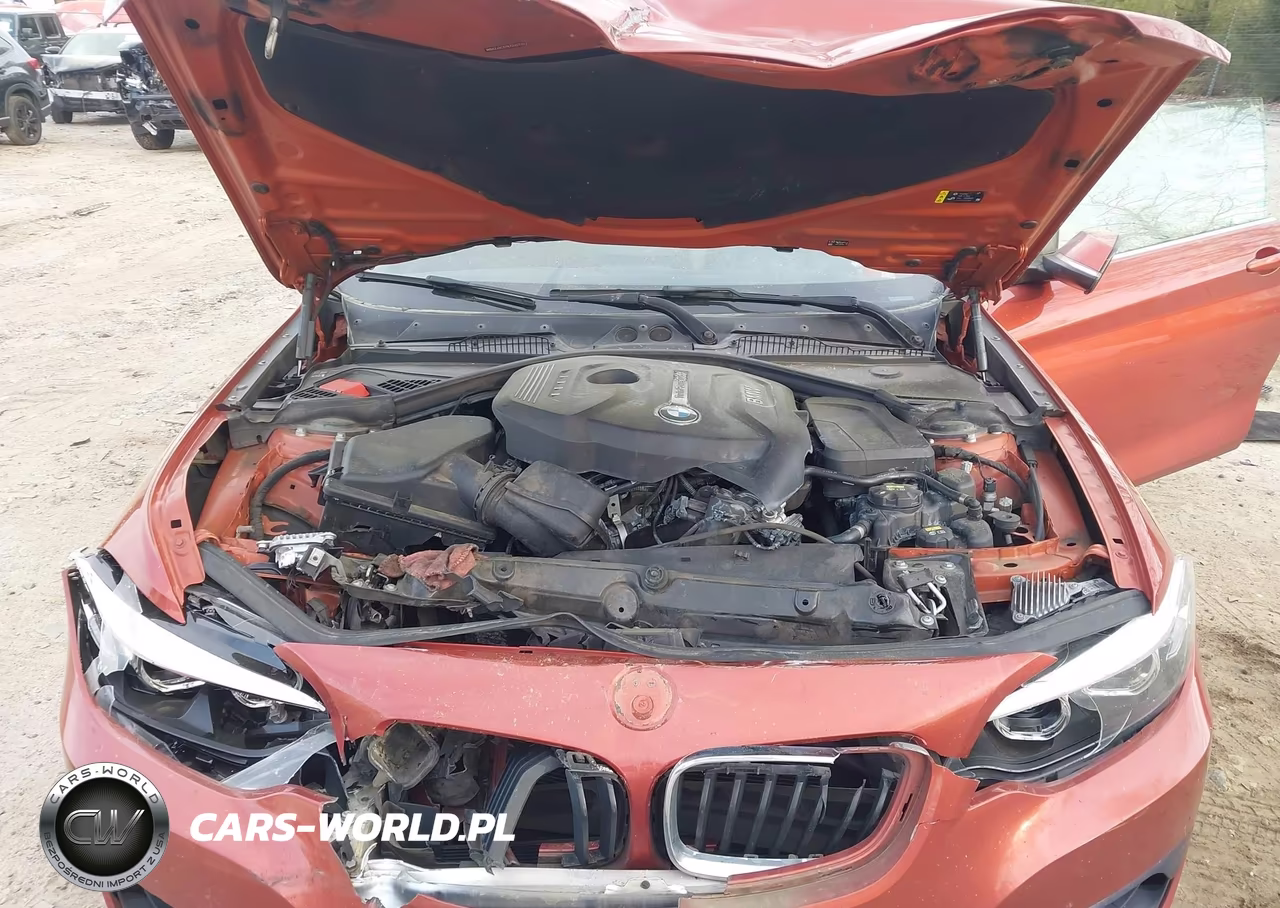 2019 BMW 230I xDrive VIN:WBA2J3C57K7D35720 - 10