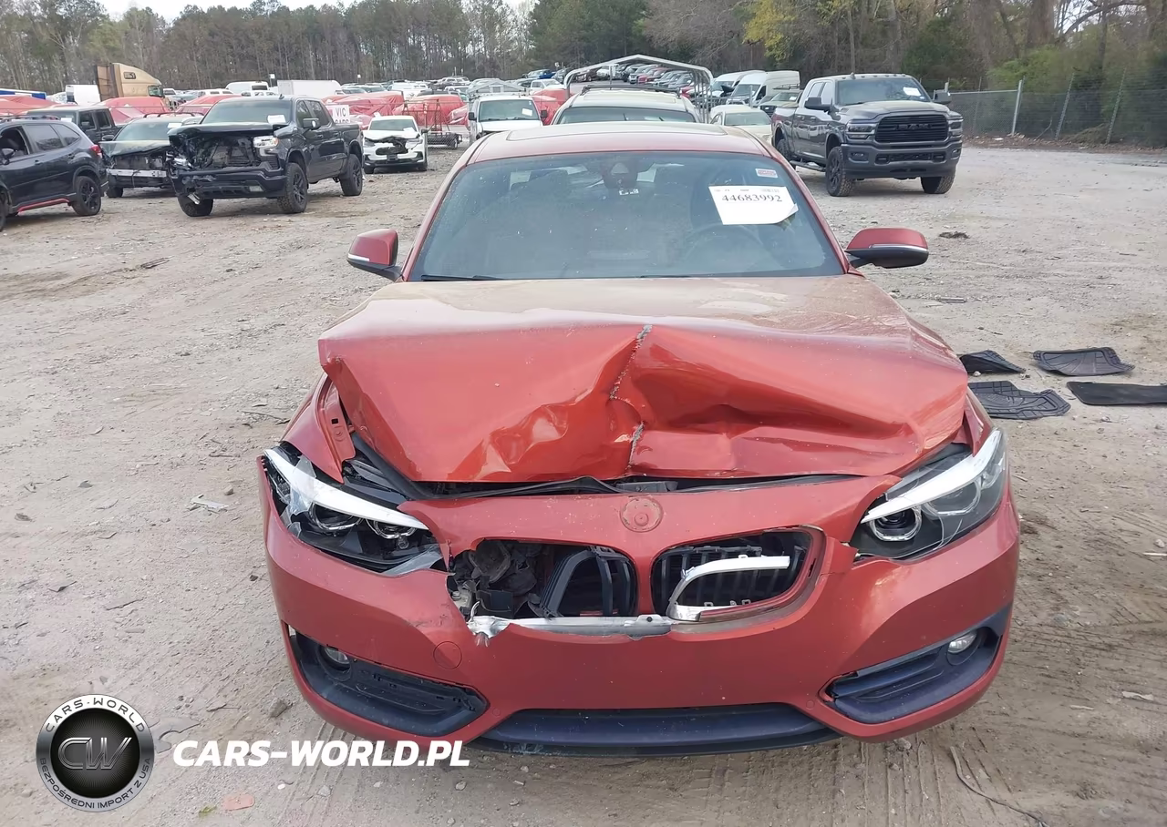 2019 BMW 230I xDrive VIN:WBA2J3C57K7D35720 - 12