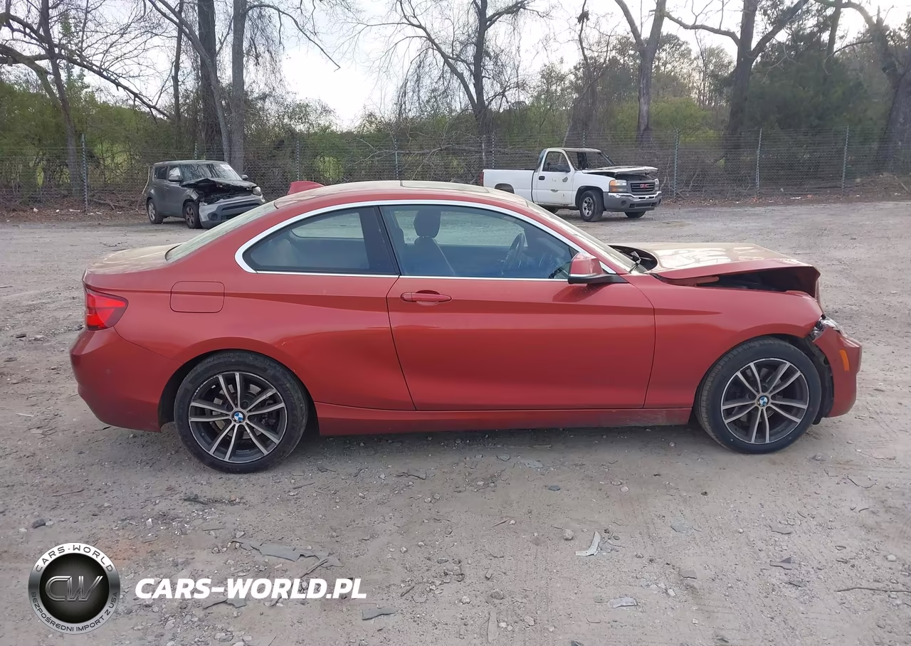 2019 BMW 230I xDrive VIN:WBA2J3C57K7D35720 - 13