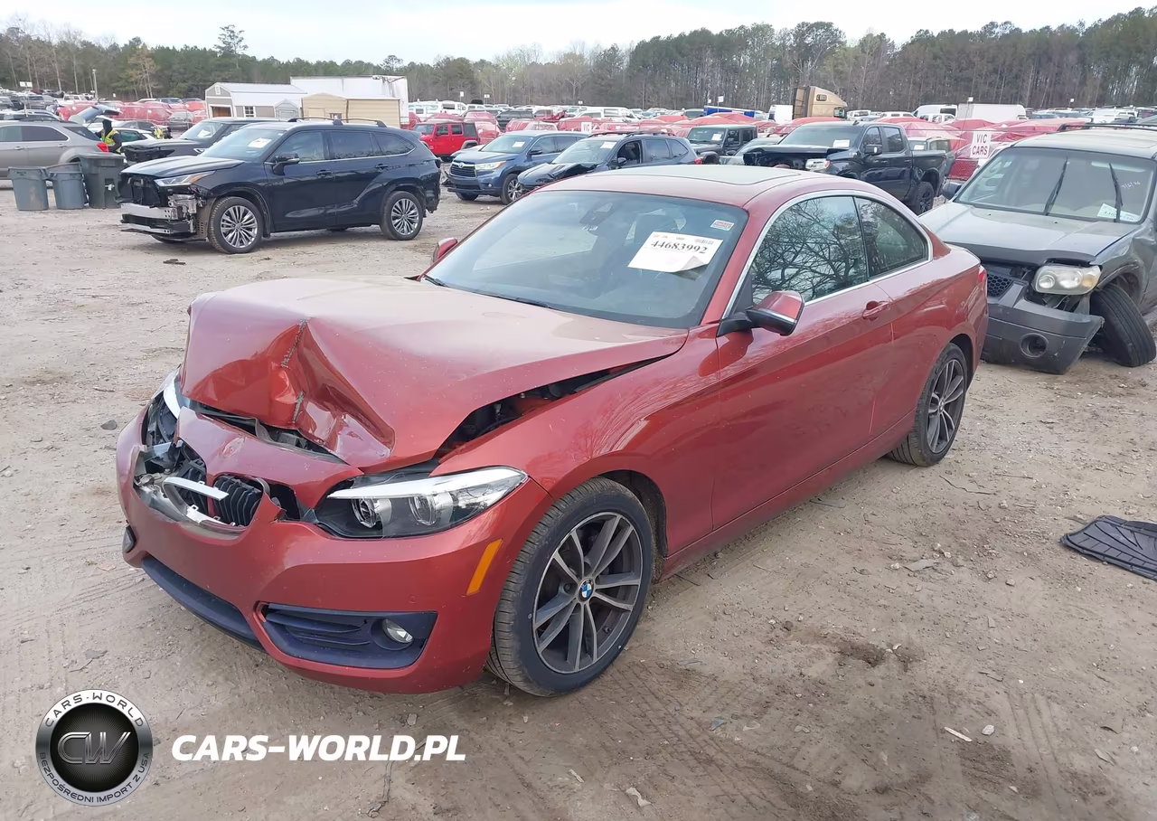 2019 BMW 230I xDrive VIN:WBA2J3C57K7D35720 - 2