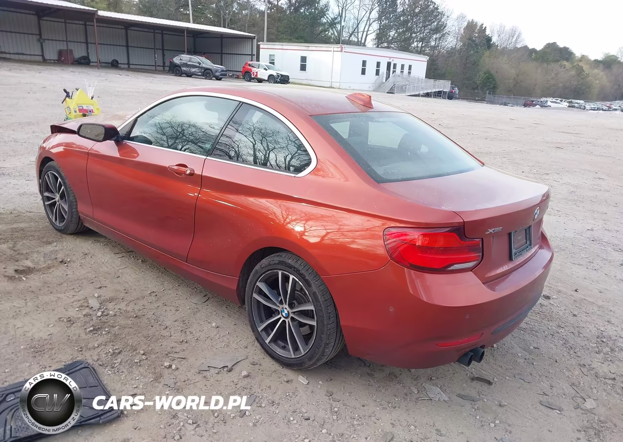 2019 BMW 230I xDrive VIN:WBA2J3C57K7D35720 - 3