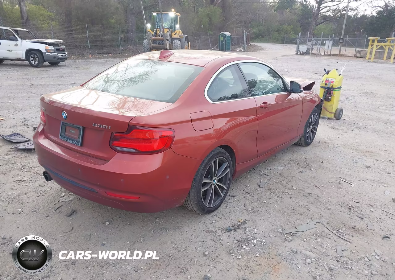 2019 BMW 230I xDrive VIN:WBA2J3C57K7D35720 - 4