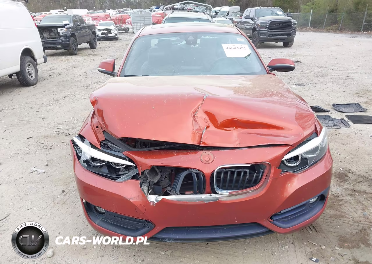 2019 BMW 230I xDrive VIN:WBA2J3C57K7D35720 - 6