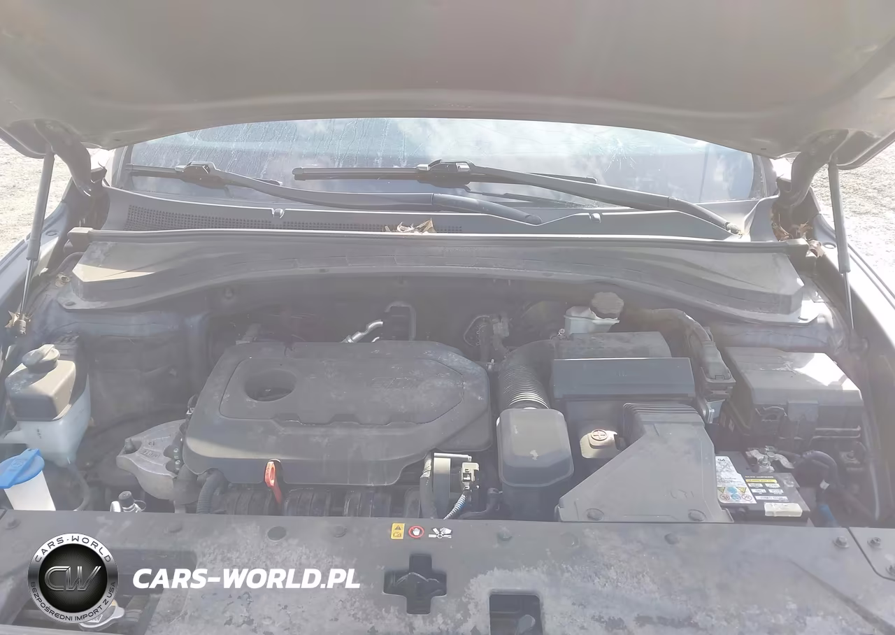 2019 Hyundai Santa Fe Sel Plus VIN:5NMS3CAD6KH002339 - 10