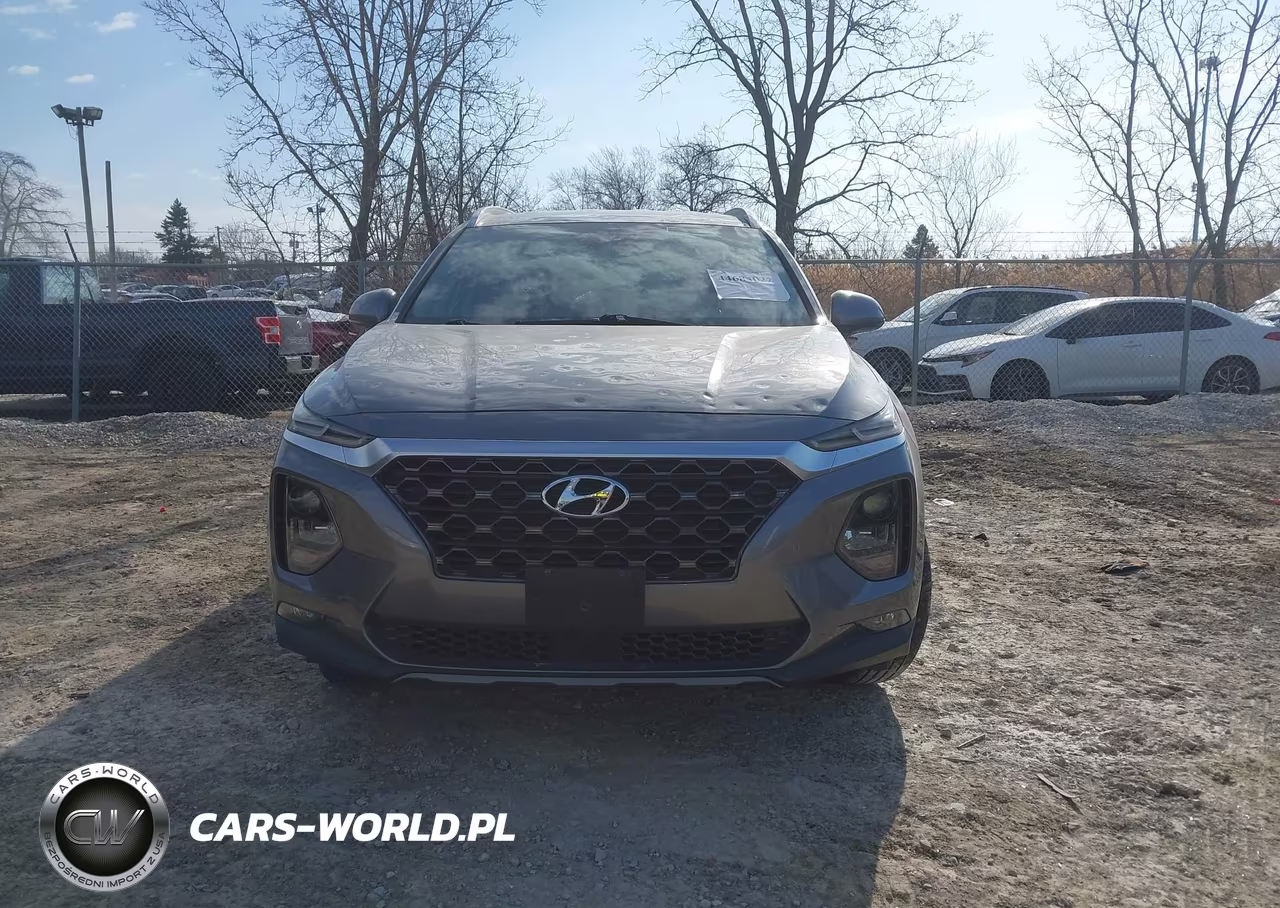 2019 Hyundai Santa Fe Sel Plus VIN:5NMS3CAD6KH002339 - 12