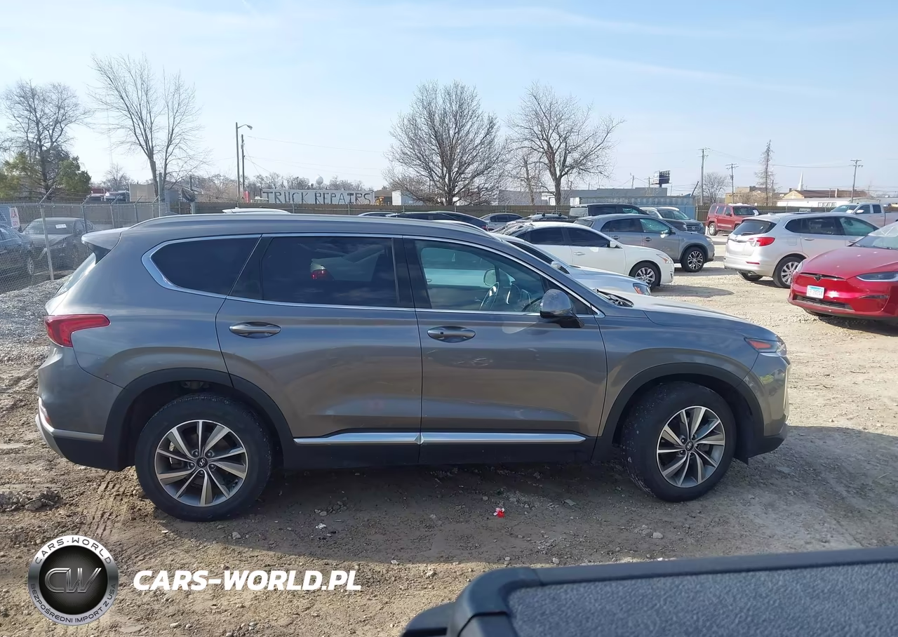 2019 Hyundai Santa Fe Sel Plus VIN:5NMS3CAD6KH002339 - 13