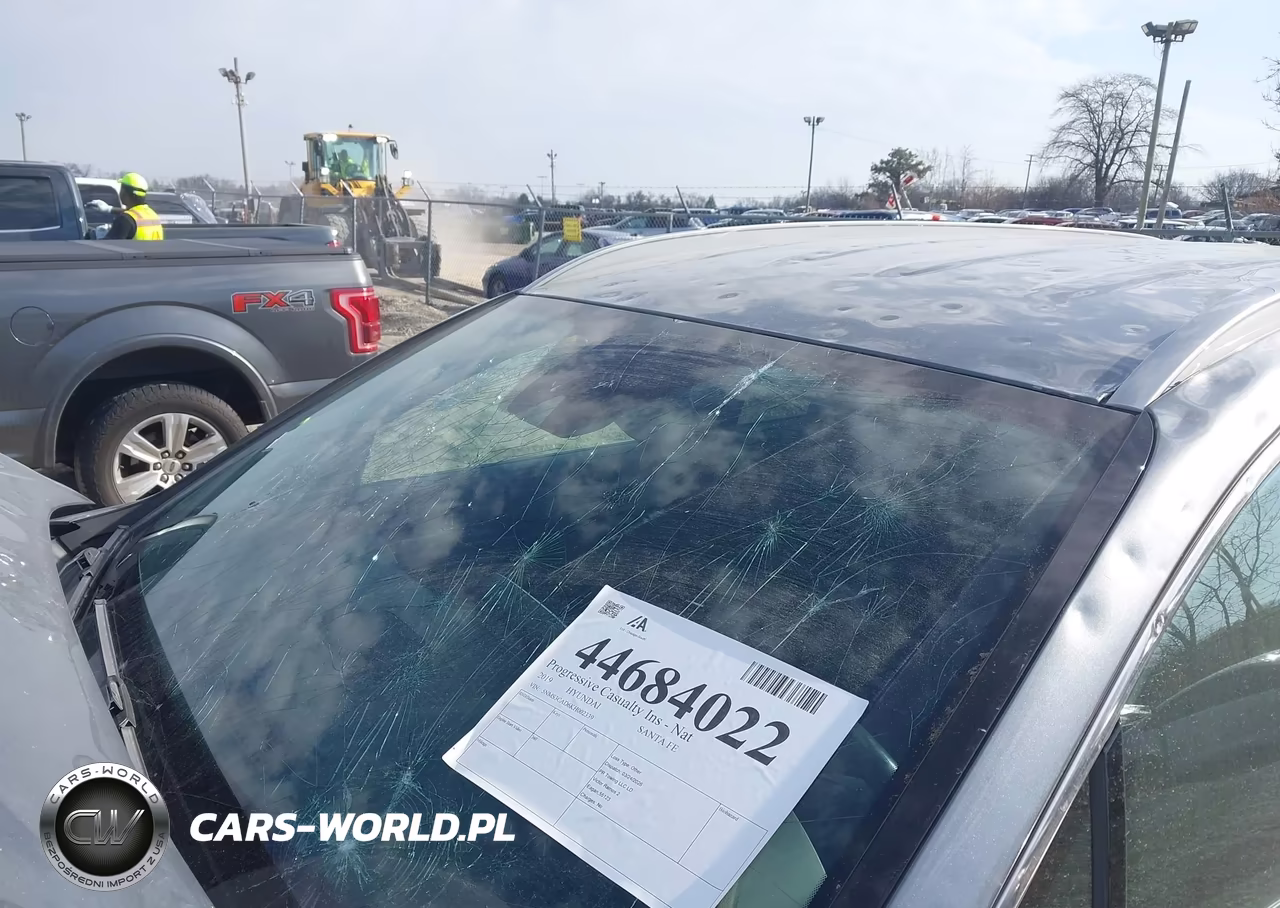 2019 Hyundai Santa Fe Sel Plus VIN:5NMS3CAD6KH002339 - 6