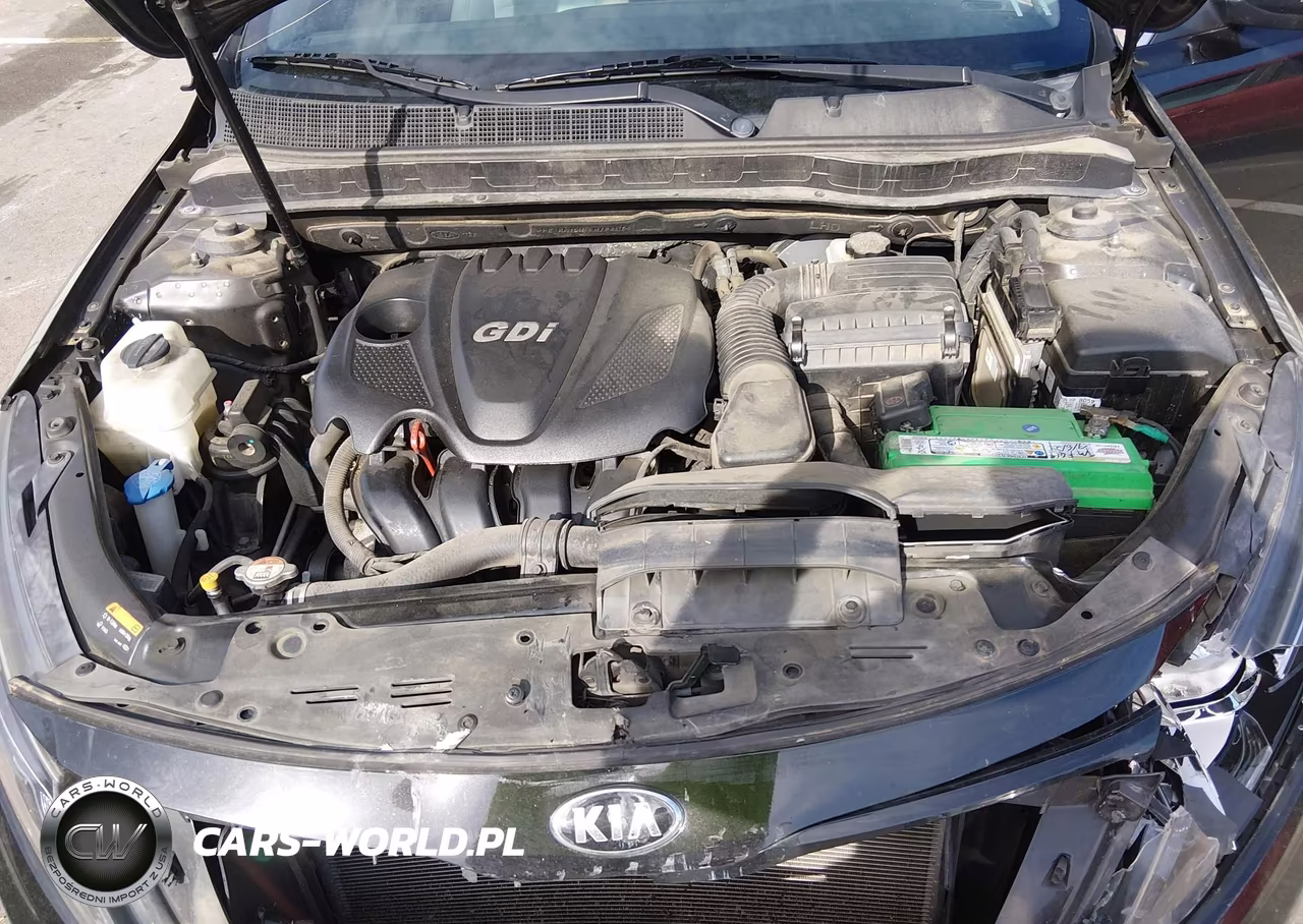 2015 Kia Optima Lx VIN:KNAGM4A70F5657234 - 10