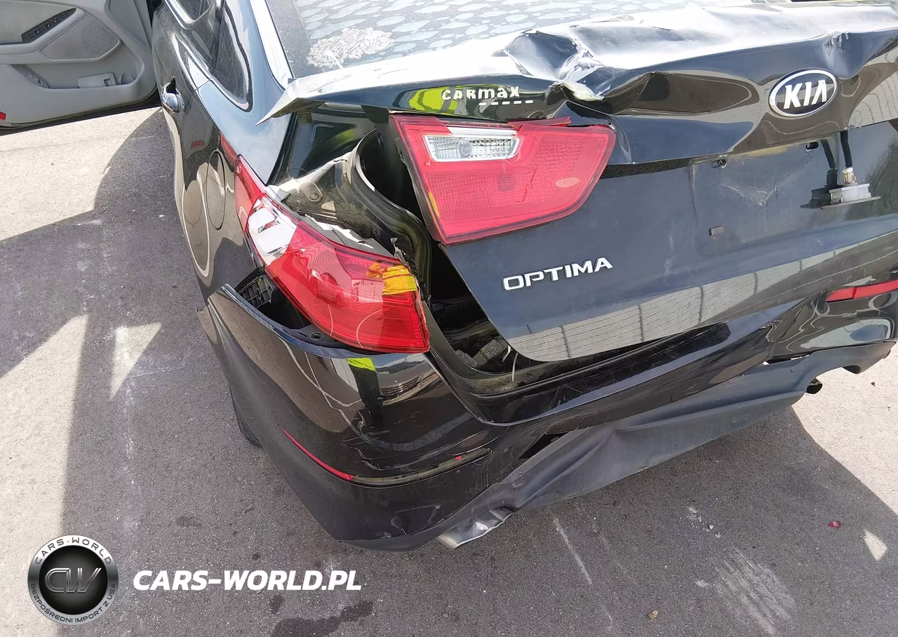 2015 Kia Optima Lx VIN:KNAGM4A70F5657234 - 17