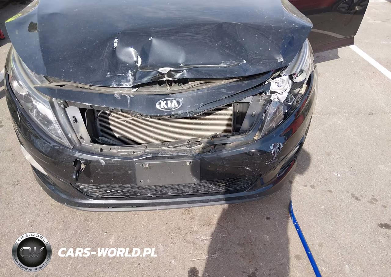 2015 Kia Optima Lx VIN:KNAGM4A70F5657234 - 18